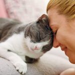 paLvqqYny2DpaDbAWvu9Mm