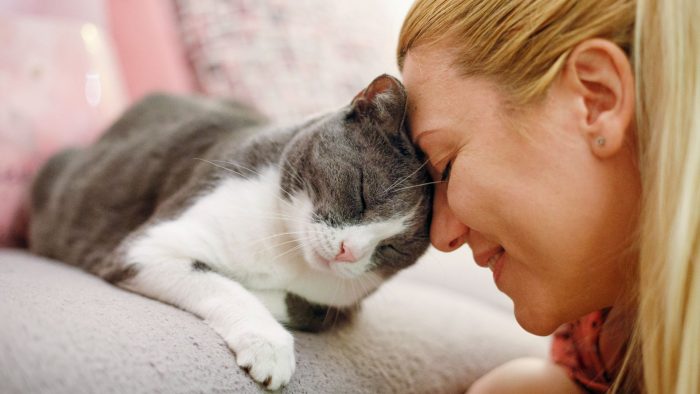 Ways To Tell If Your Cat Actually Likes You Or Just Tolerates You