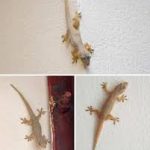 images (25)